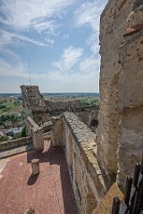 DSC00101