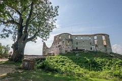 DSC00113