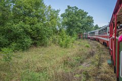 DSC00097(1)