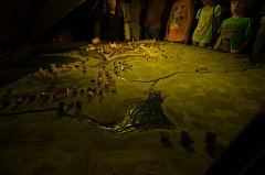 DSC00065