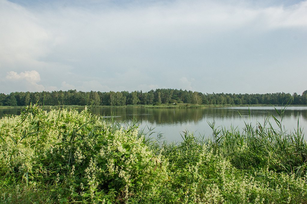 DSC00512