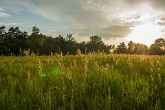 DSC00420