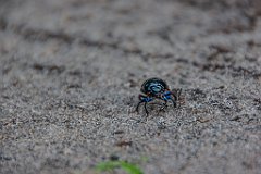DSC00555