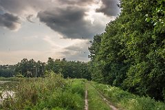 DSC00941