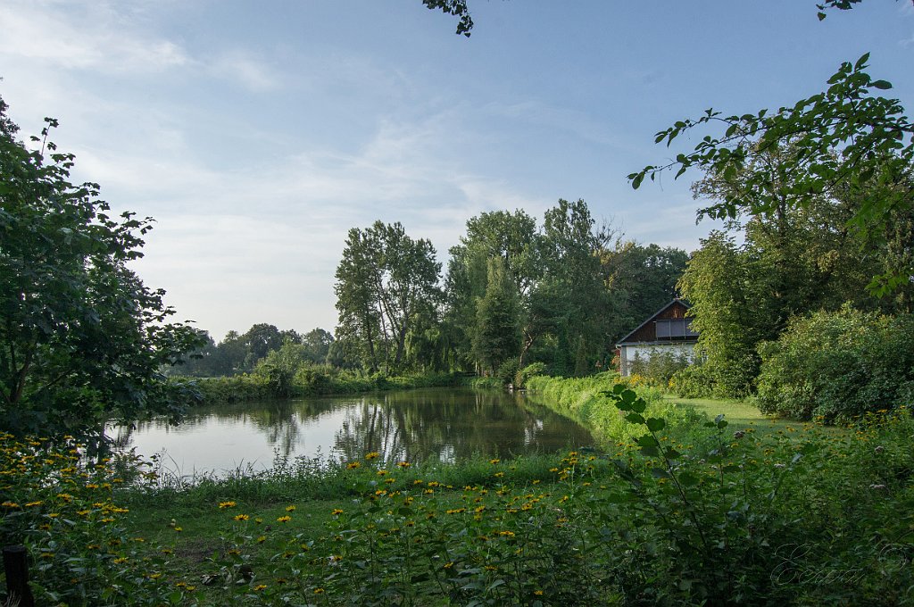 DSC00107