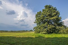 DSC00005