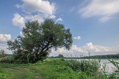 DSC00016