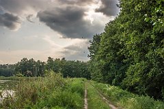 DSC00941