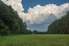 DSC00977