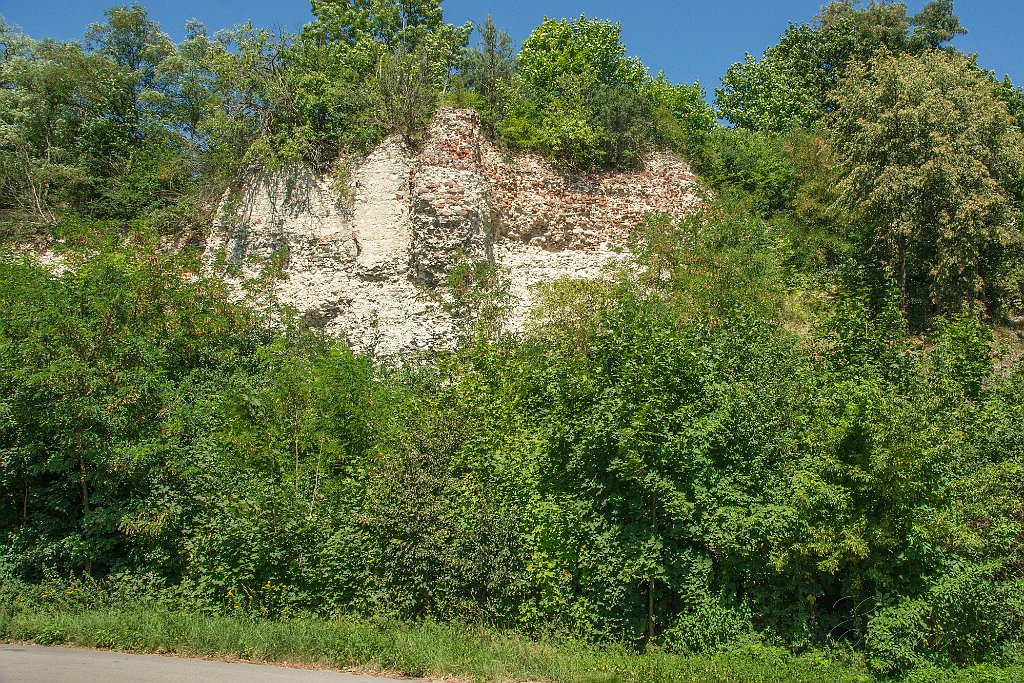 DSC00797